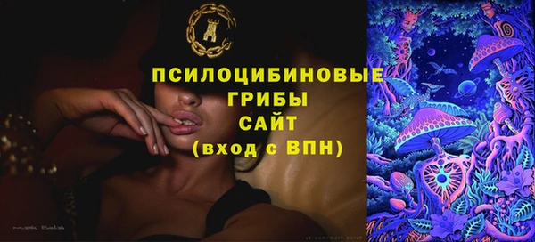 spice Липки
