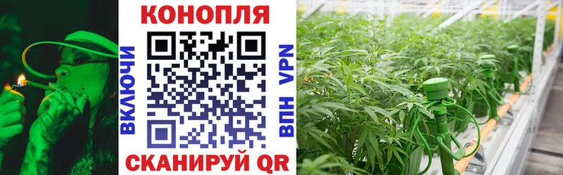 даркнет наркотические препараты что такое наркотик Юхнов Бошки Шишки гибрид